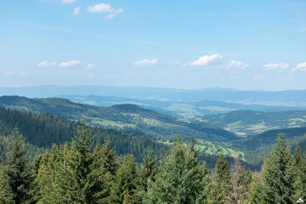 Widok na Spiską Magure | Chodnik w Koronach Drzew