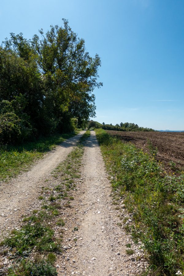 droga prowadząca do grodziska