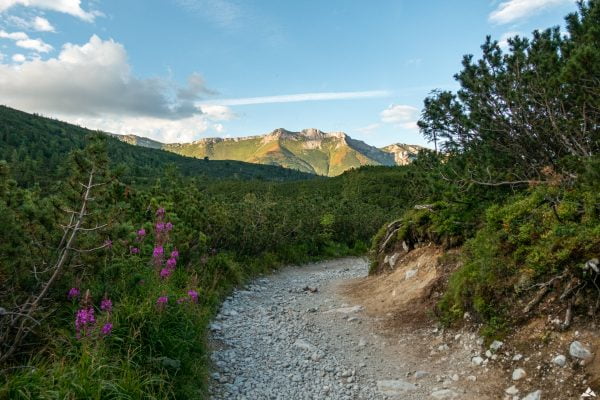 Zelene pleso - Kežmarská Biela voda