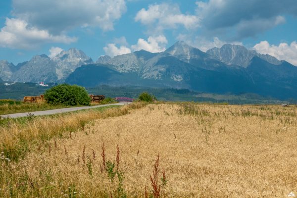 Šoldov-panorama