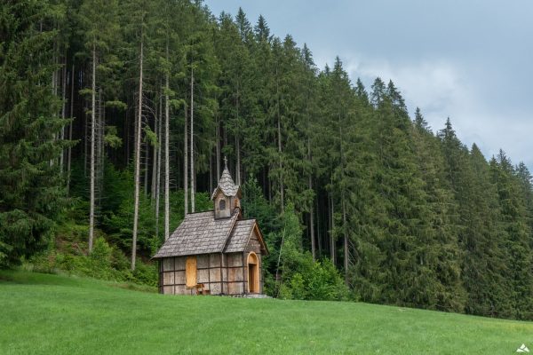 Drewniana kapliczka na wzgórzu. W tle las iglasty.